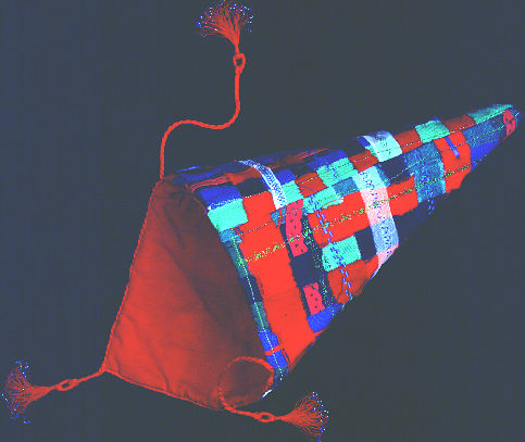 bag by Jayne McLellan