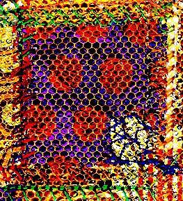 book-cover