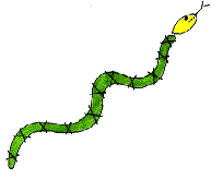 snake