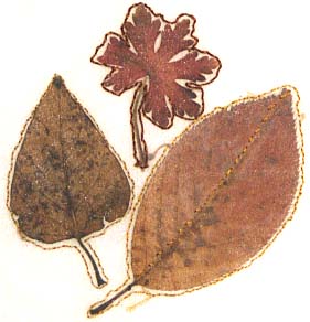 Autumn Leaf Sandwich 2