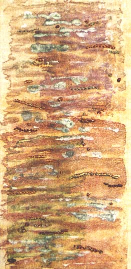 Tree Bark